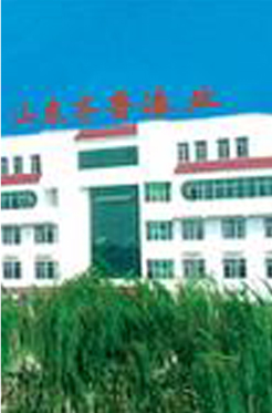 Shandong Qilu Paint Industry Co., Ltd