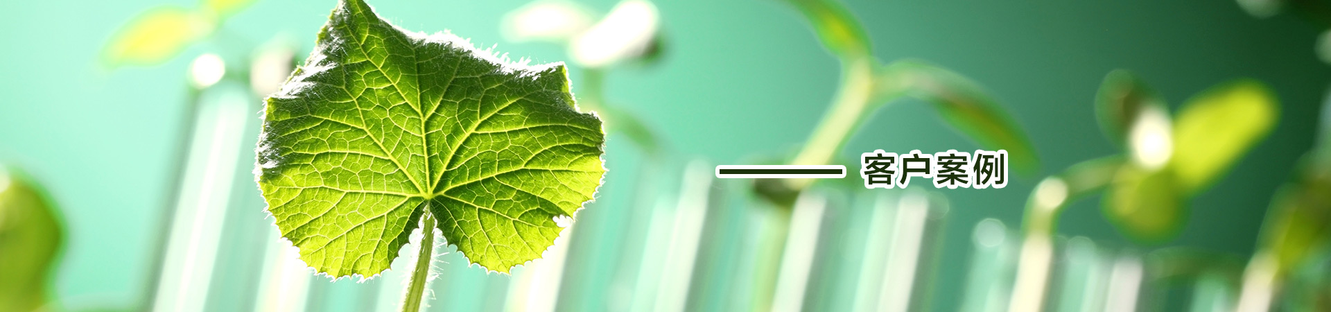 客户案例