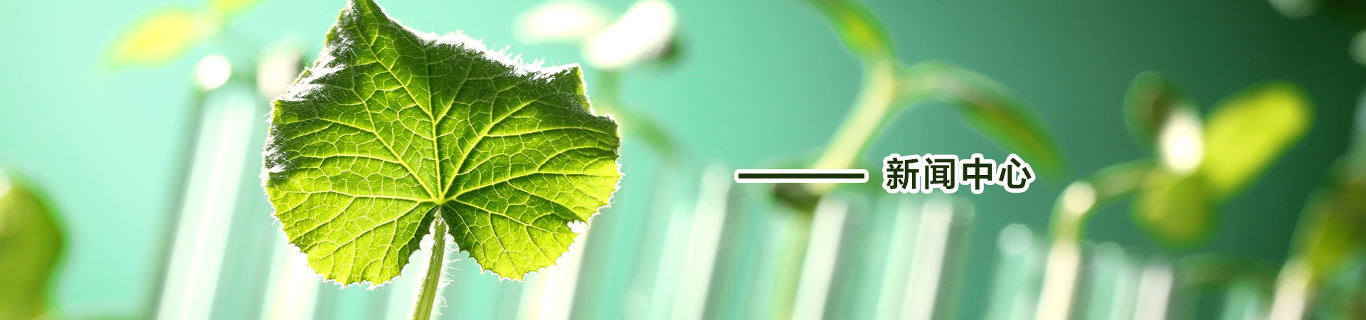 新闻中心